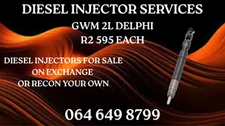 Gwm 2l Delphi Diesel Injectors For Sale On Exchange Or Recon Your Own
