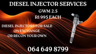 Gwm 2.5 Diesel Injectors For Sale On Exchange Or Recon Your Own Washers Included
