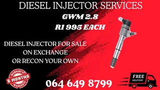 Let Us Recon Your Gwm 2.8 Diesel Injectors Washers Included