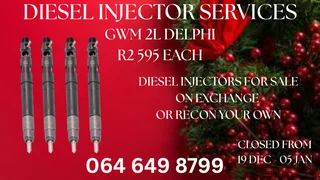 We Can Recon Your Gwm 2l Delphi Diesel Injectors
