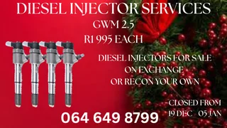 We Can Recon Your Gwm 2.5 Diesel Injectors Washers Included