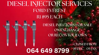 We Can Recon Your Ford Everest Diesel Injectors Washers And Warranty Included