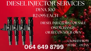 Dyna 300 Diesel Injectors For Sale Or Recon Your Own Washers And Warranty Included