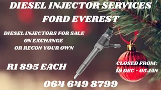 We Can Recon Your Ford Everest Diesel Injectors