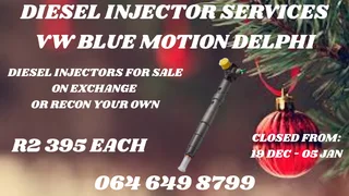 We Can Recon Your Vw Blue Motion Delphi Diesel Injectors Warranty Included