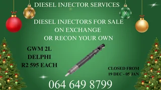 Gwm 2l Delphi Diesel Injectors For Sale Or Recon Your Own Washers Included