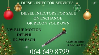 We Can Recon Your Vw Blue Motion Delphi Diesel Injectors Warranty Included