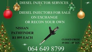 Let Us Recon Your Nissan Pathfinder Diesel Injectors With Copper Washers