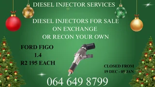 Recon Your Ford Figo 1.4 Diesel Injectors