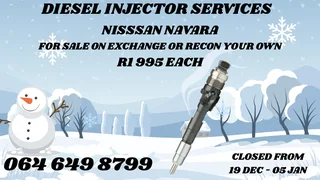Let Us Recon Your Nissan Navara Diesel Injectors Copper Washers Included