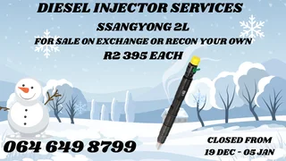 We Can Recon Your Ssangyong 2l Diesel Injectors 6 Months Warranty Included