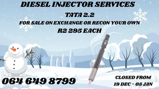 We Can Recon Your Tata 2.2 Diesel Injectors Copper Washers And Warranty Included