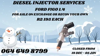 Let Us Recon Your Ford Figo 1.4 Diesel Injectors