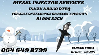 Let Us Recon Your Isuzu Kb250 Dteq Diesel Injectors 6 Months Warranty Included