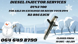 Recon Your Dyna 700 Diesel Injectors 6 Months Warranty Included