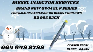 Gwm 2l P Series Delphi Diesel Injectors For Sale On Exchange