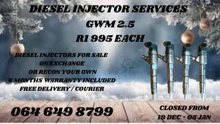 Let Us Recon Your Gwm 2.5 Diesel Injectors