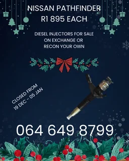 Recon Your Nissan Pathfinder Diesel Injectors Washers And Warranty Included