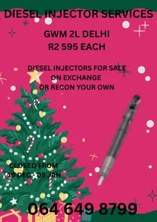 Recon Your Gwm 2l Delphi Diesel Injectors Washers And Warranty Included