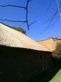 Vhunyunyu thatch and projects