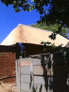 Vhunyunyu thatch and projects