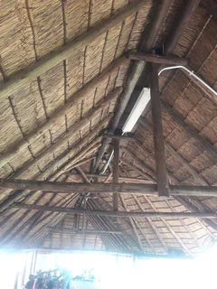 Vhunyunyu thatch and projects