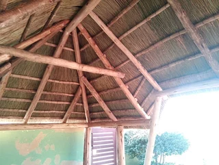 Vhunyunyu thatch and projects