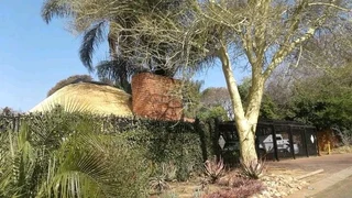 Vhunyunyu thatch and projects