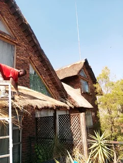 Vhunyunyu thatch and projects