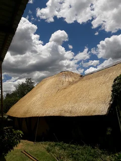 Vhunyunyu thatch and projects