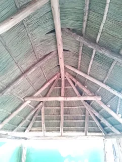 Vhunyunyu thatch and projects