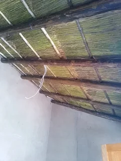 Vhunyunyu thatch and projects