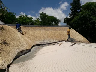 Vhunyunyu thatch and projects