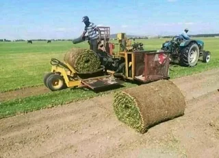 We supply and install roll on lawn weed free straight from the farm