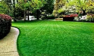 We supply and install roll on lawn weed free straight from the farm