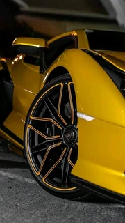 Car Diagnostic Special call today and make your booking