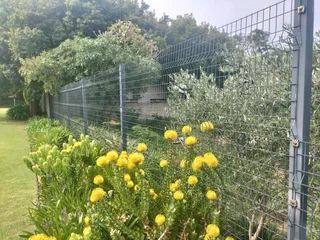 Aluminium Windows &amp; Doors, Tiling, Painting &amp; All Automation