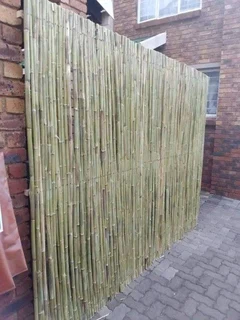 Bamboo and wattle fences