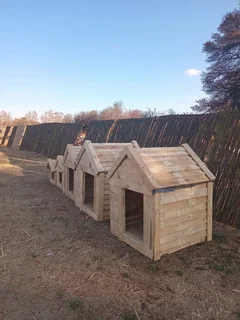 Dog kennels
