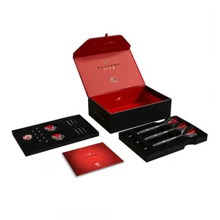 Professional Darts - Target Daytona 22oz