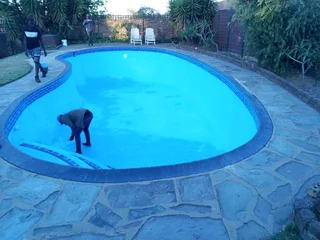 Painting and renovation.  Tilling and cladding.  Paving.