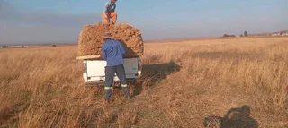 Thatching.  Lapa.  Swimming pool.  Decking