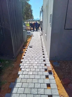 PAVING R60 per Square Labour Only 0813664446