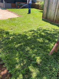 Selling evergreen grass
