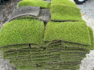 Selling evergreen grass