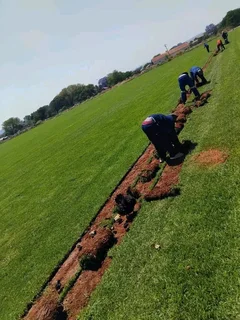 BUZI INSTANT LAWN AND LANDSCAPING COMPANY