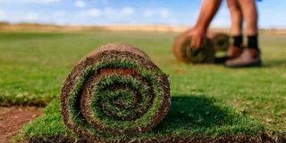 Buzi Instant Lawn And Landscaping Company