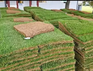 BUZI INSTANT LAWN AND LANDSCAPING COMPANY