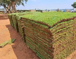 BUZI INSTANT LAWN AND LANDSCAPING COMPANY