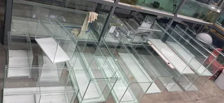 Brand new fish tanks